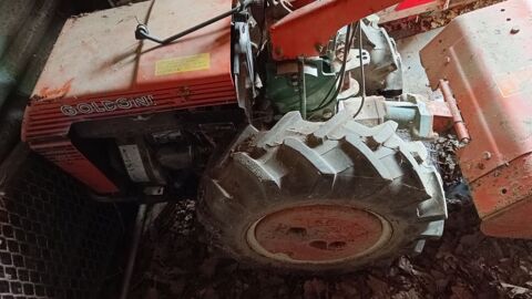 Motoculteur Goldoni  500 Mordelles (35)