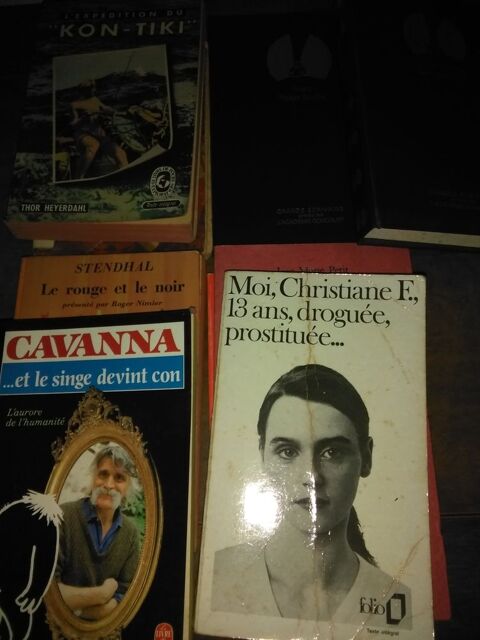 Lot de 18 livres divers. 20 Servian (34)