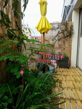  Appartement  louer 1 pice 35 m