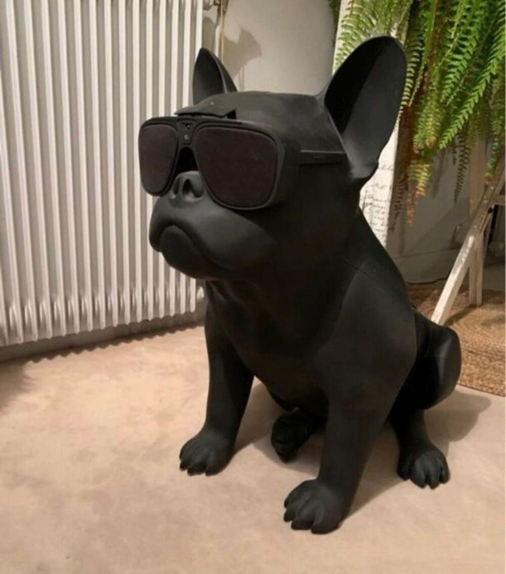 enceintes AEROBULL XL JM JARRE Audio et hifi