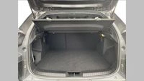 Duster Hybrid 140 Journey 2025 occasion 91150 &Eacute;tampes