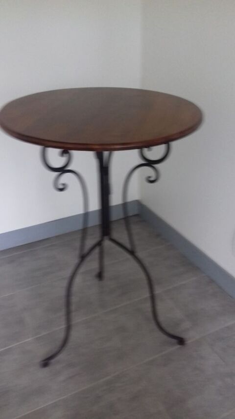table de bistrot 80 La Ferté-Saint-Aubin (45)