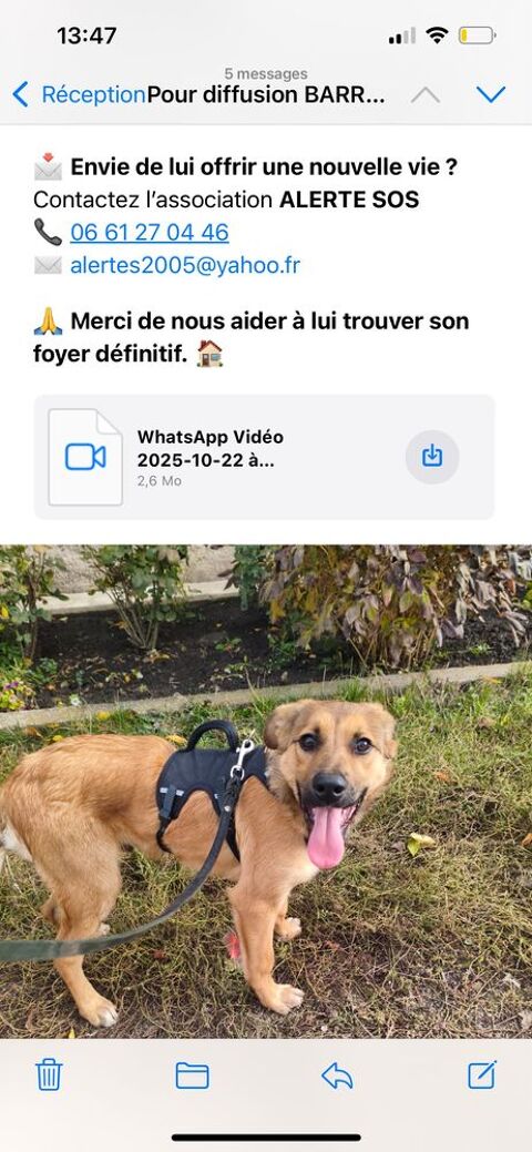 BARRIE 0 75018 Paris