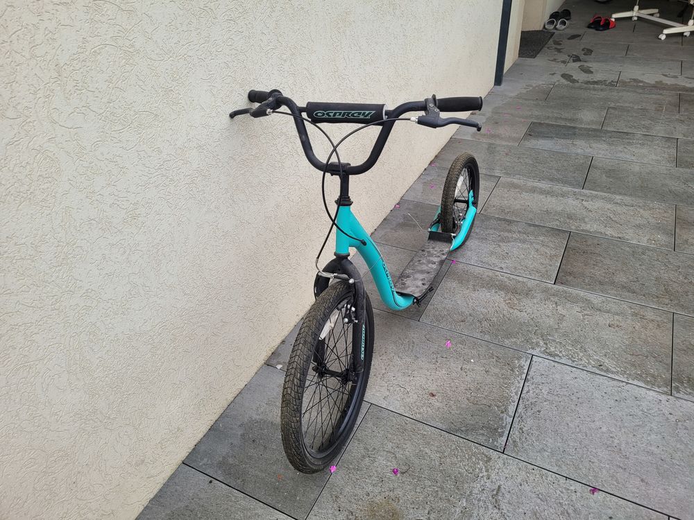 Trottinette canicross Sports