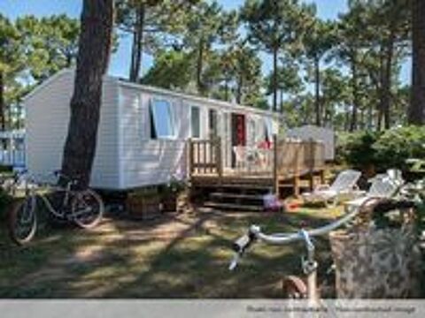  2024 occasion 85160 Saint-Jean-de-Monts