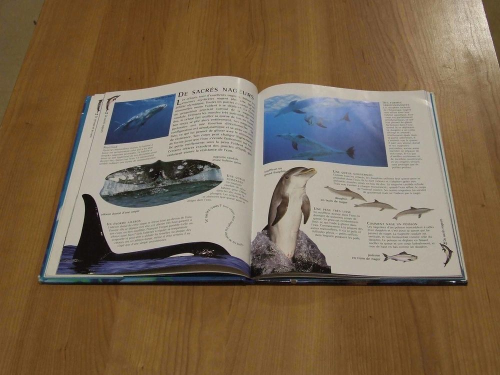 Livre, Les dauphins et les baleines de Robin Kerrod Livres et BD