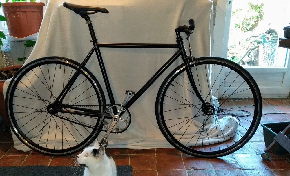 Velo pignon fixe occasion hotsell