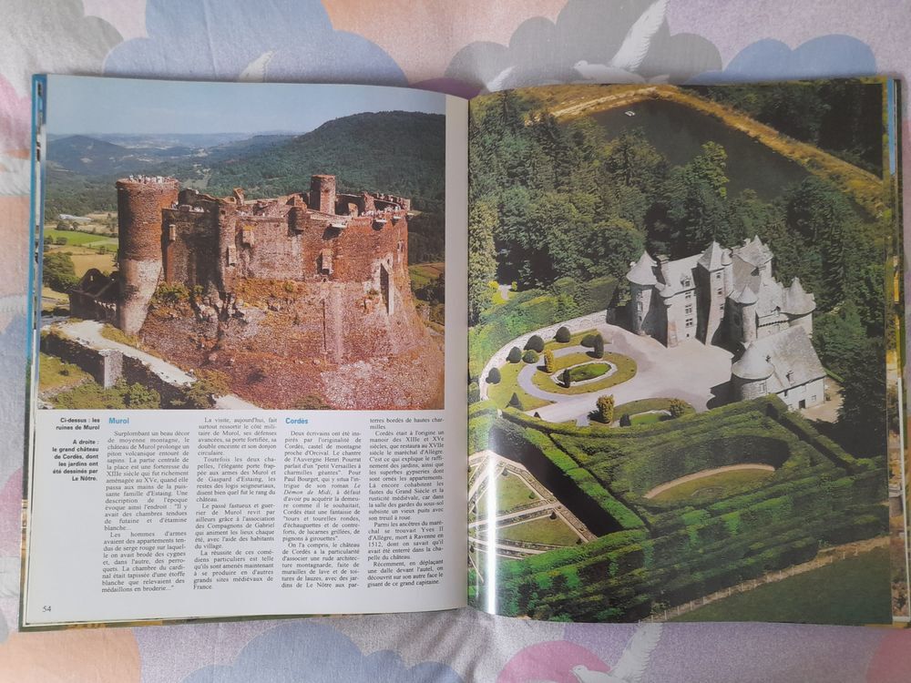 CHATEAUX et CHATEAUX FORTS de FRANCE Livres et BD