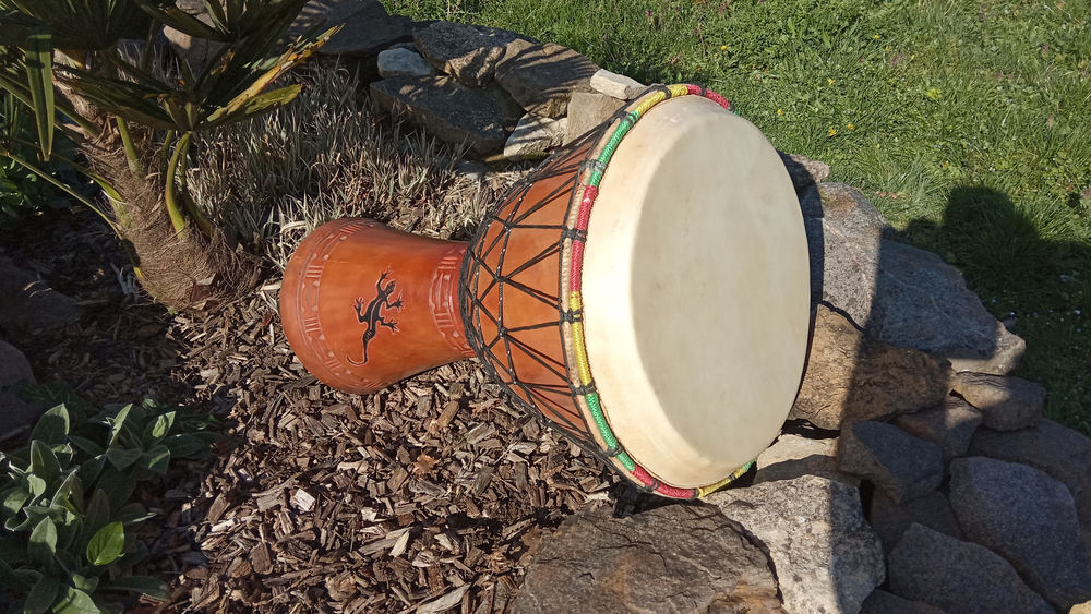 Collection percussions (lot) Instruments de musique