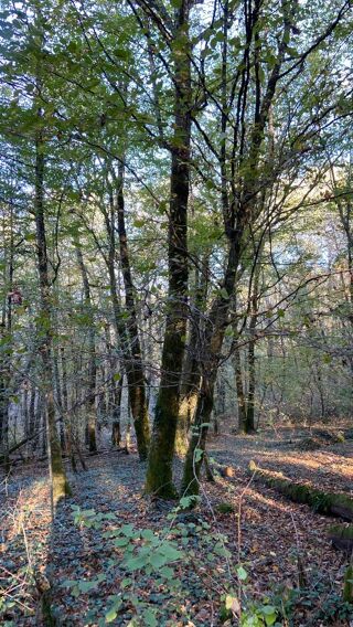  Terrain � vendre 4480 m�