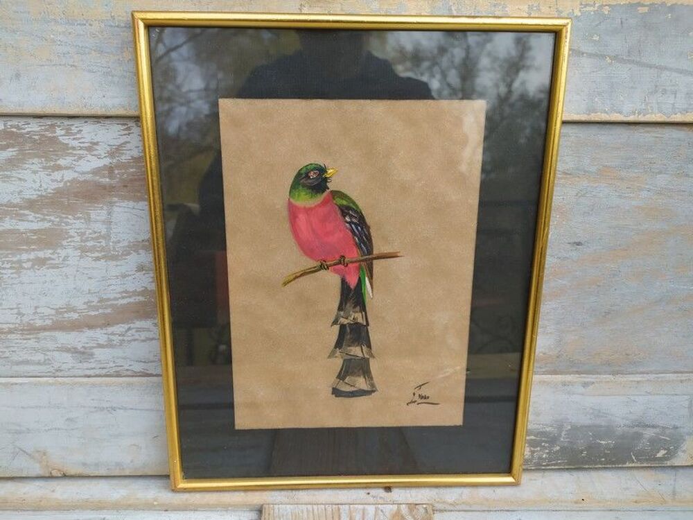 Tableau Ornithologie Oiseau Trogon Montagnard Sign&eacute; Yvone 