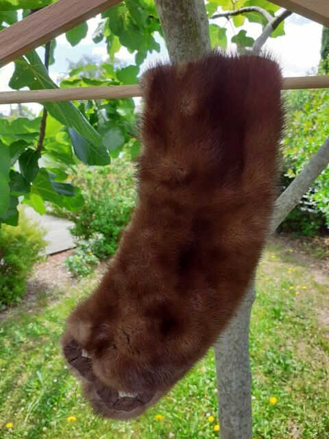  Encolure vison 0 Saint-Sbastien-sur-Loire (44)