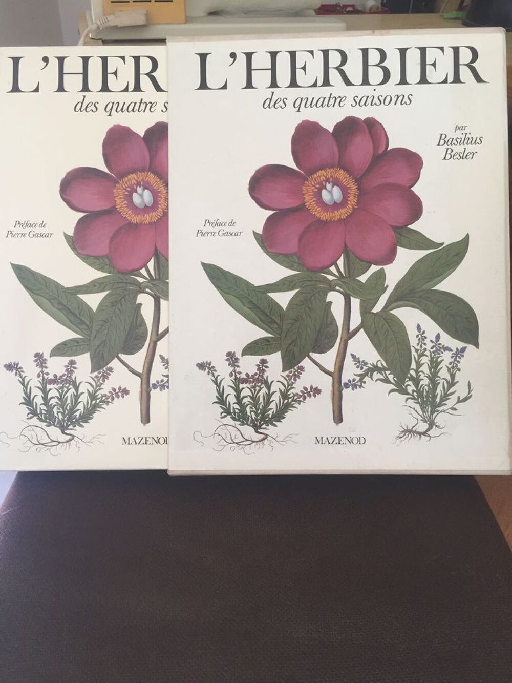 L'Herbier des quatre saisons
Par Basilius . Livres et BD