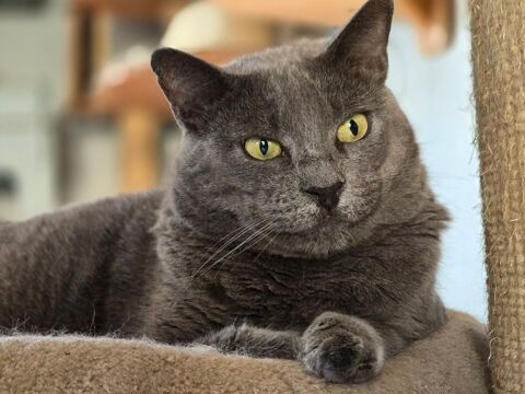 GINA 210 76000 Rouen