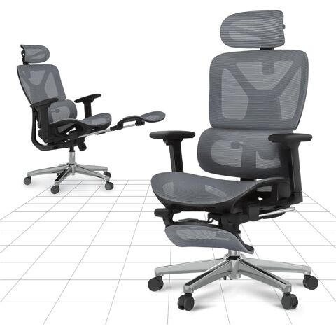 Chaise ergoX pro Flexispot 100 Rennes (35)