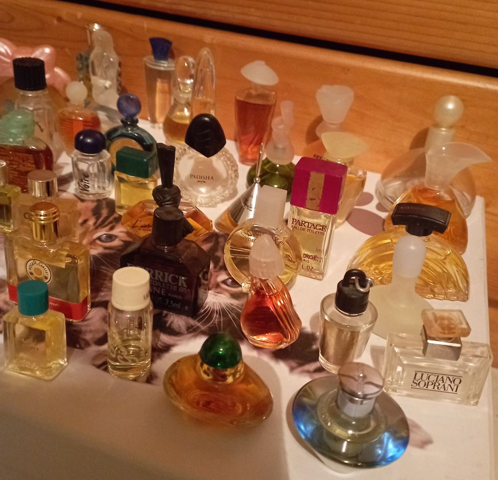 Lot de 85 Miniatures de parfum 