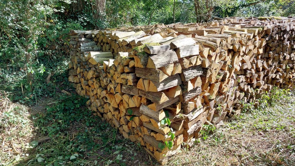 Bois sec Bricolage
