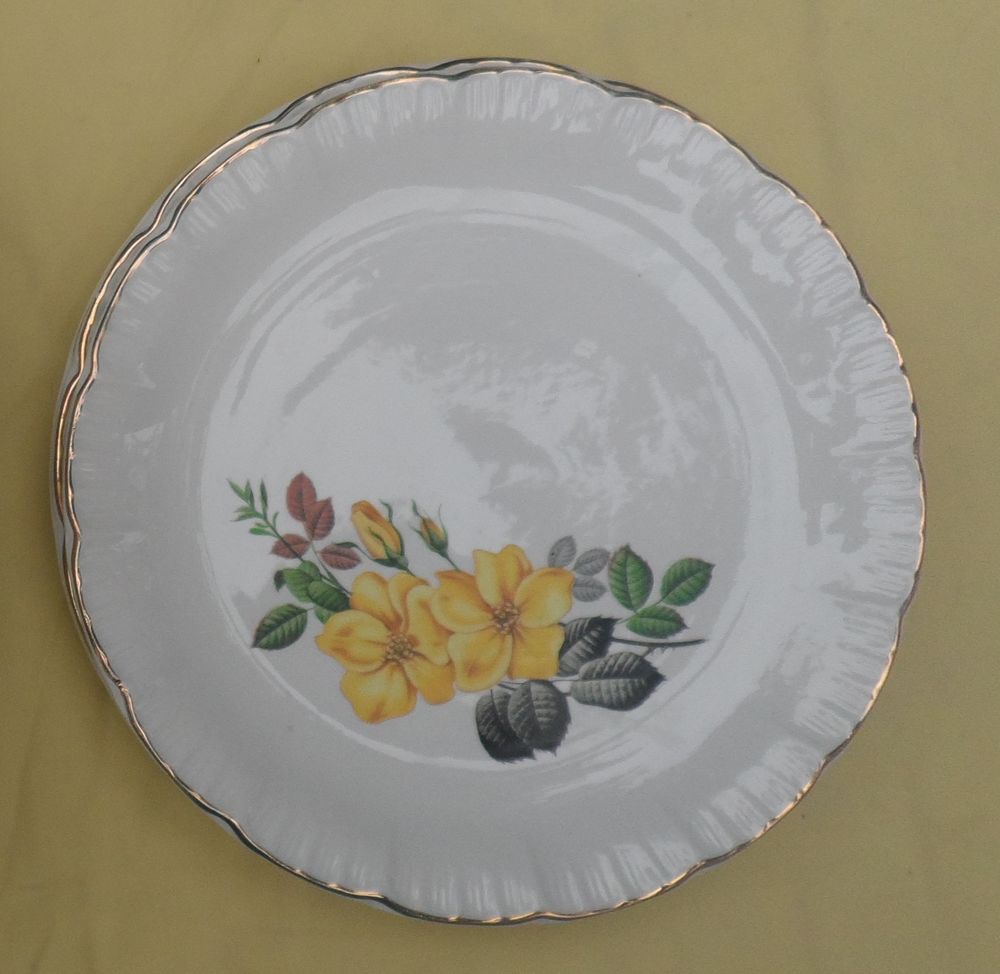 1 soupi&egrave;re + 4 assiette blanche fa&iuml;ence DIGOIN SARREGUEMINES Cuisine