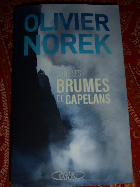 Dans les brumes de Capelans Olivier Norek 5 Rueil-Malmaison (92)