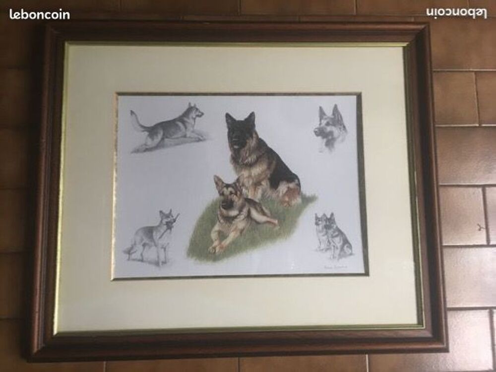Cadre/lithographie/chien loup/berger allemand/Nigel Hemming
