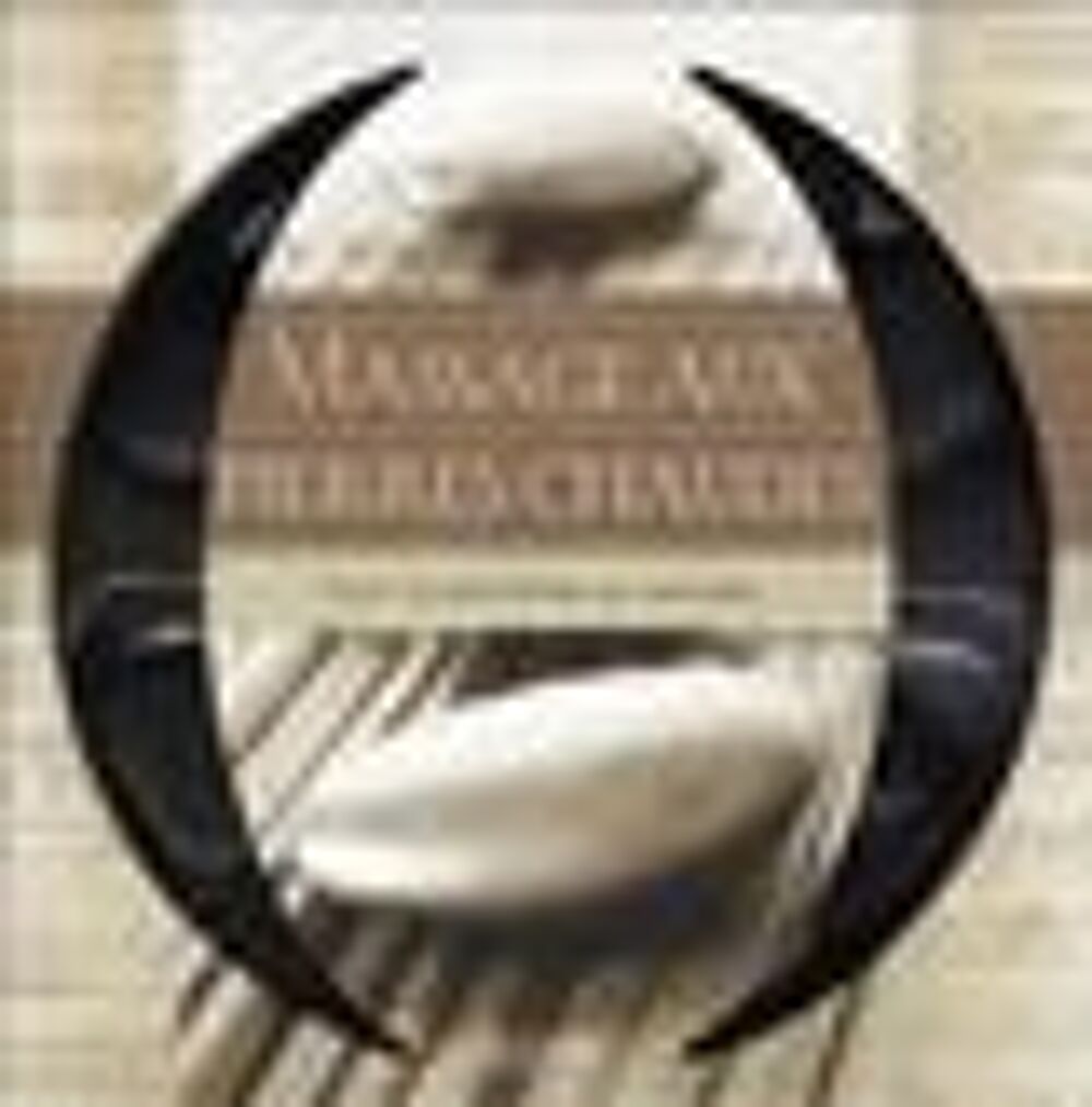 Le massage aux pierres chaudes Livres et BD