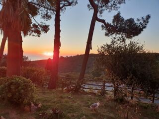  Appartement � vendre 3 pi�ces 62 m�