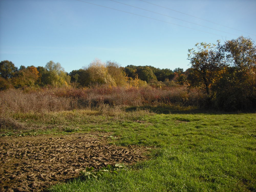 Location Terrain TERRAINS AGRICOLES en SEINE ET MARNE A  LOUER Crcy-la-chapelle