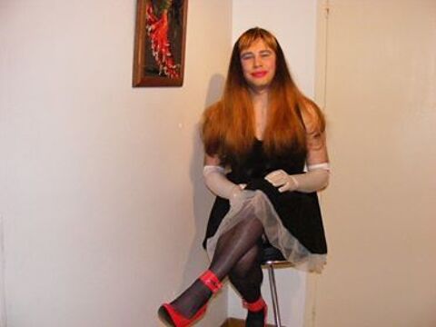 femme de ménage employée maison 0 79000 Niort