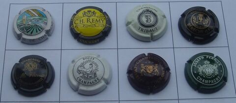 Lot n� 4 - 8 Capsules de Champagne en Bon Etat : 6 Montgeron (91)