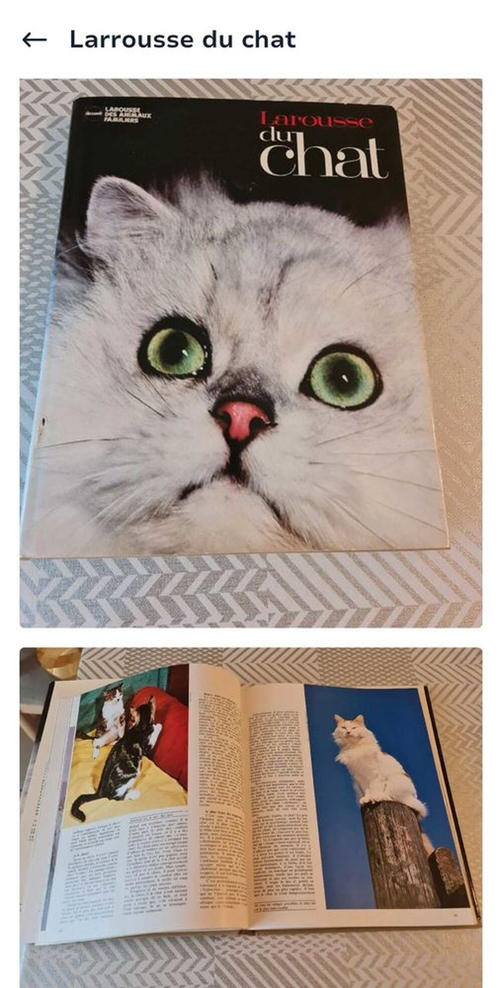 livre " le larousse du chat" Livres et BD