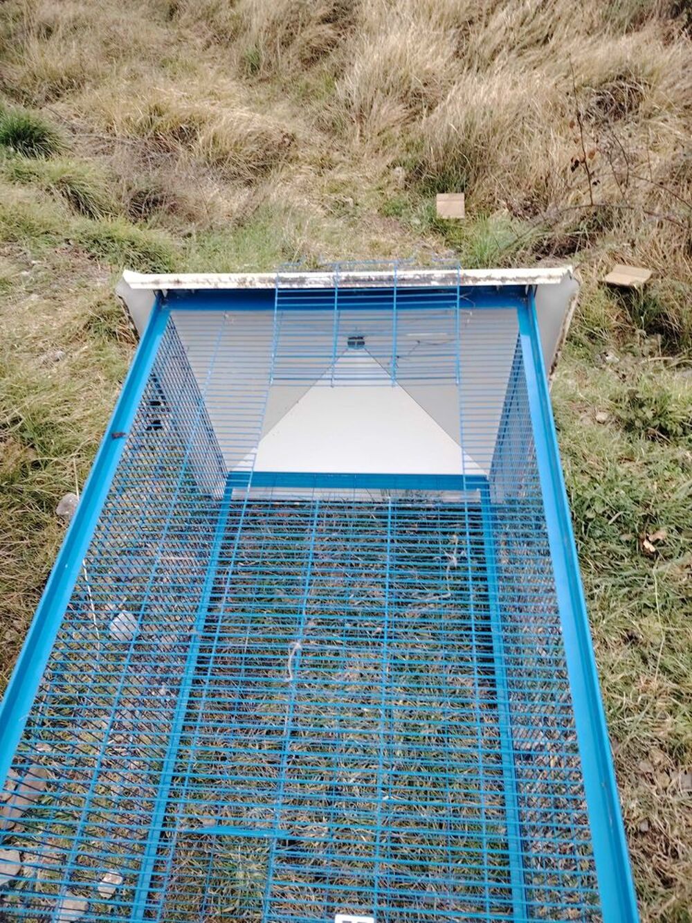 Cage tourelle pour oiseaux Jardin