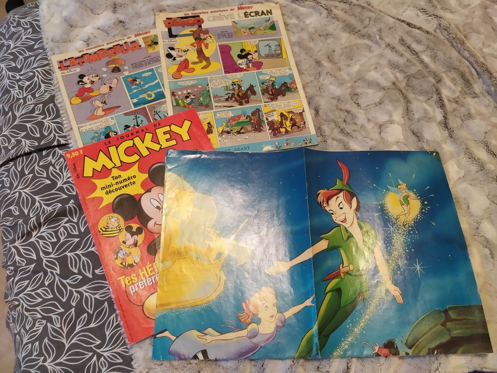 Le journal de Mickey de 1980 &agrave; 2009 Livres et BD