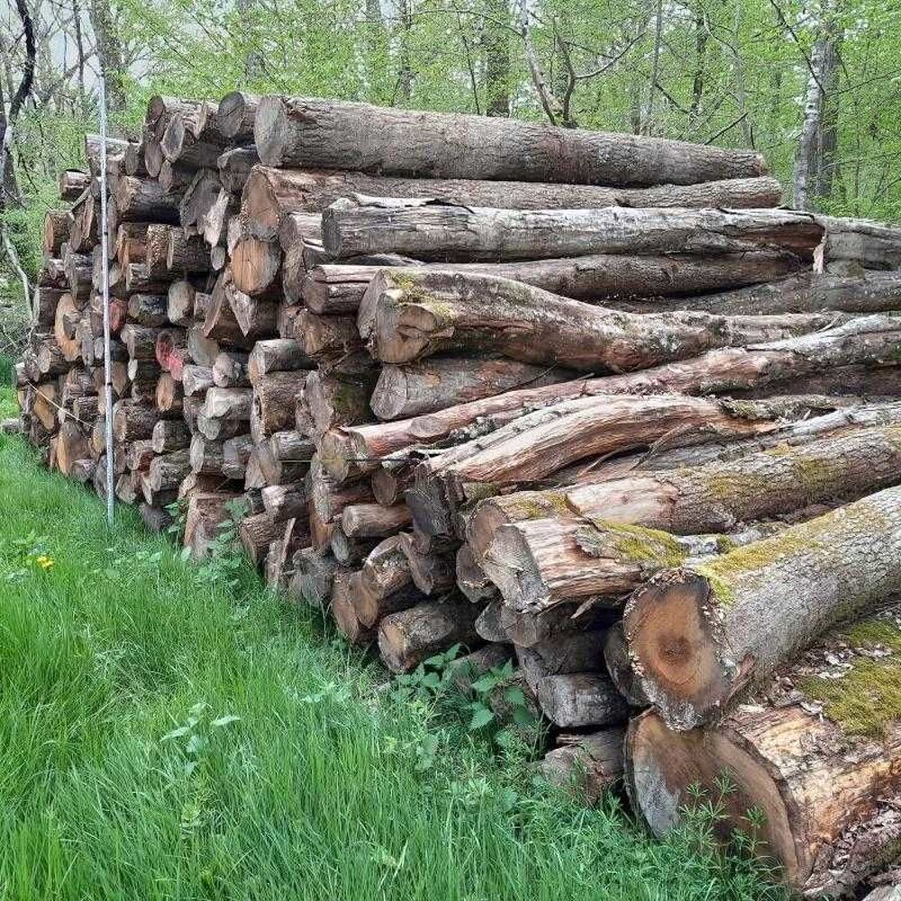 bois de chauffage Jardin