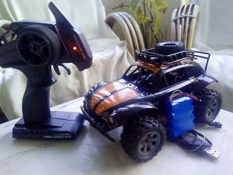 Voiture coccinelle 65 La Runion (97)