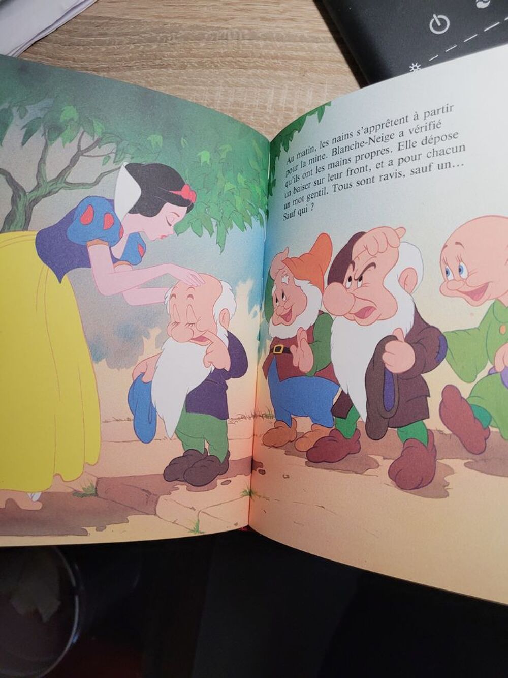 2 livres Disney Classique Livres et BD