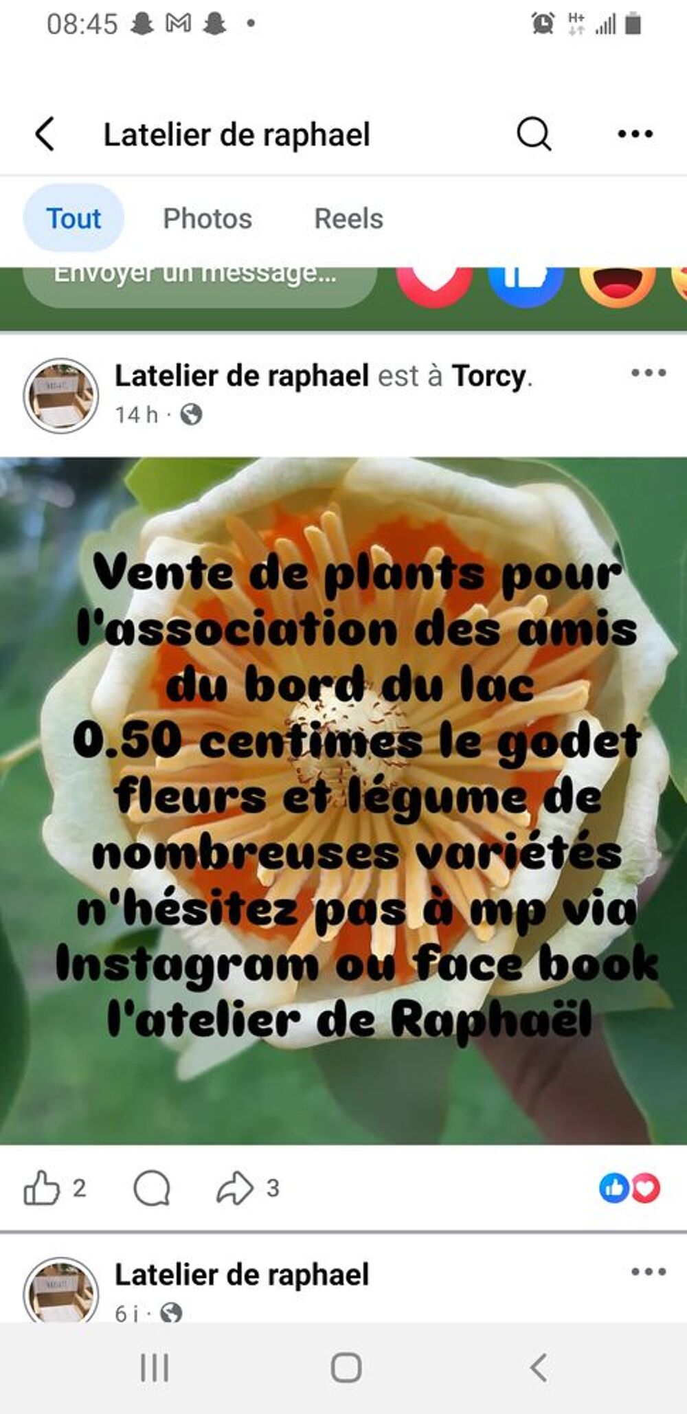 plant de l&eacute;gumes et fleurs Jardin