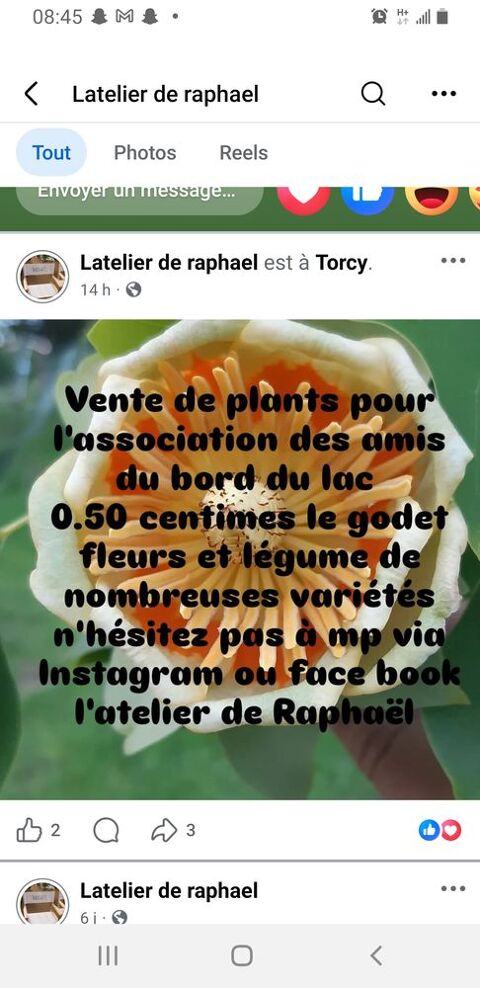 plant de légumes et fleurs 1 Torcy (71)