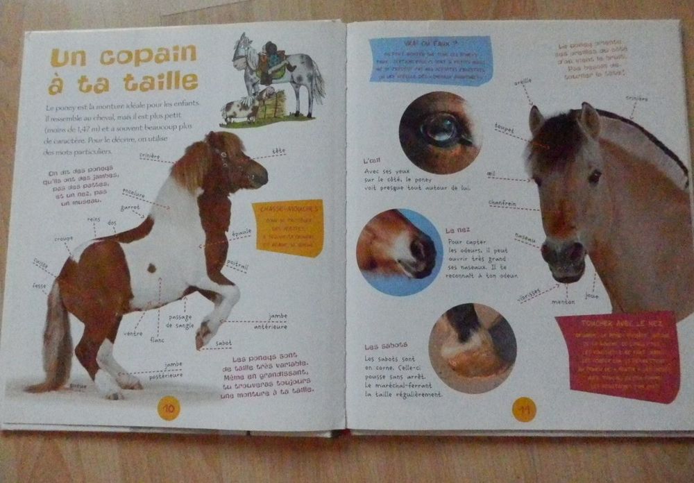 Livre : Les poneys : NEUF Livres et BD