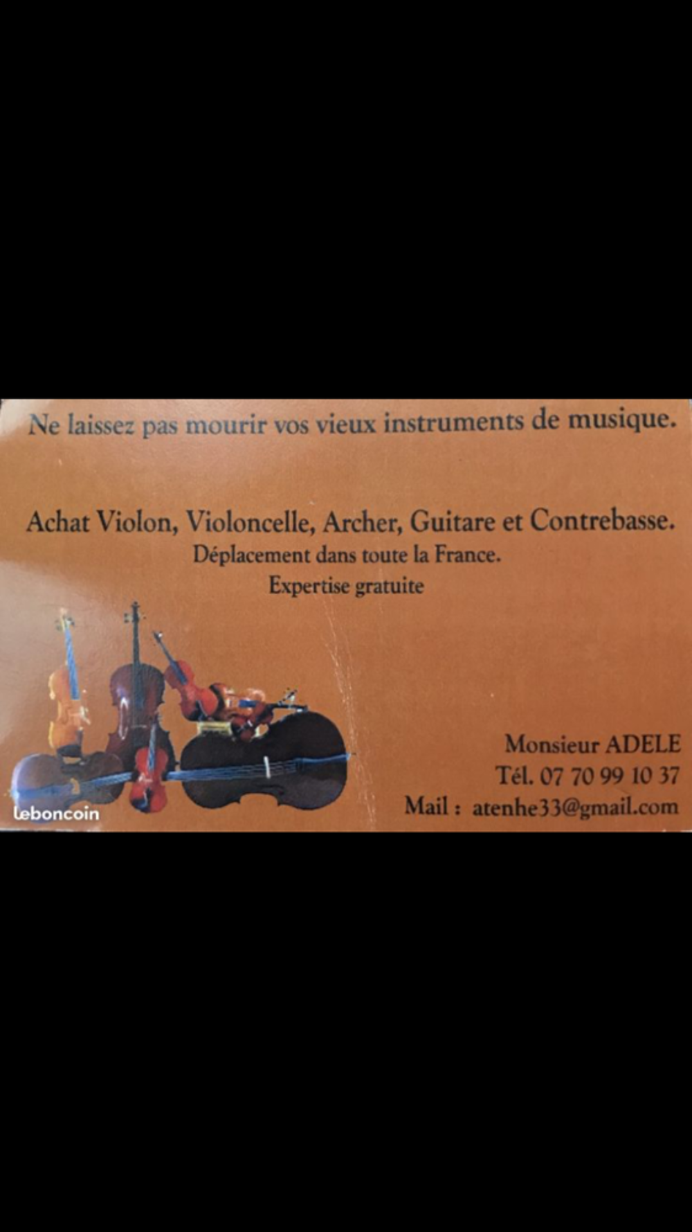  Collectionneurs Violon Instruments de musique