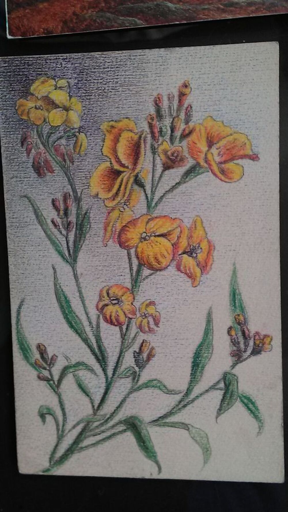 Lot de 3 cartes anciennes. 