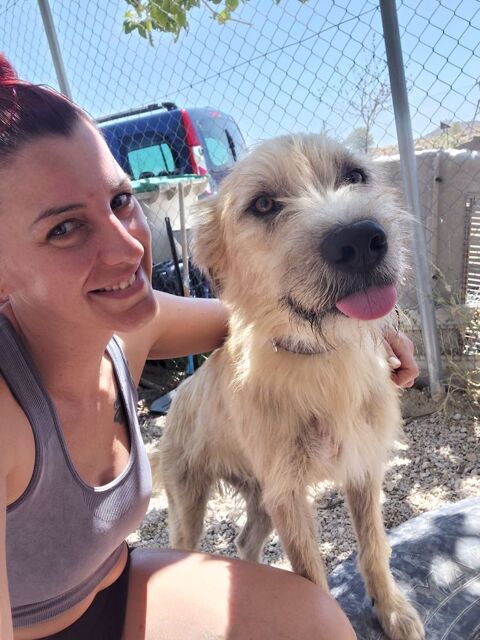 ZAZU 300 95610 ragny