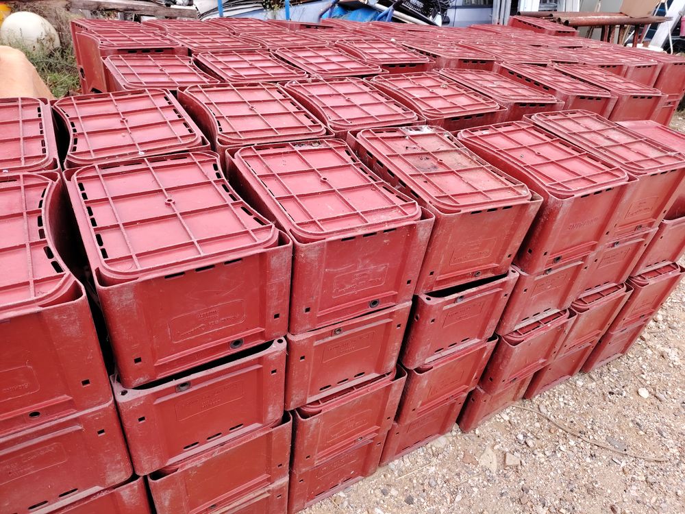 Caisses plastiques transport 30x40xh21 alibert Bricolage