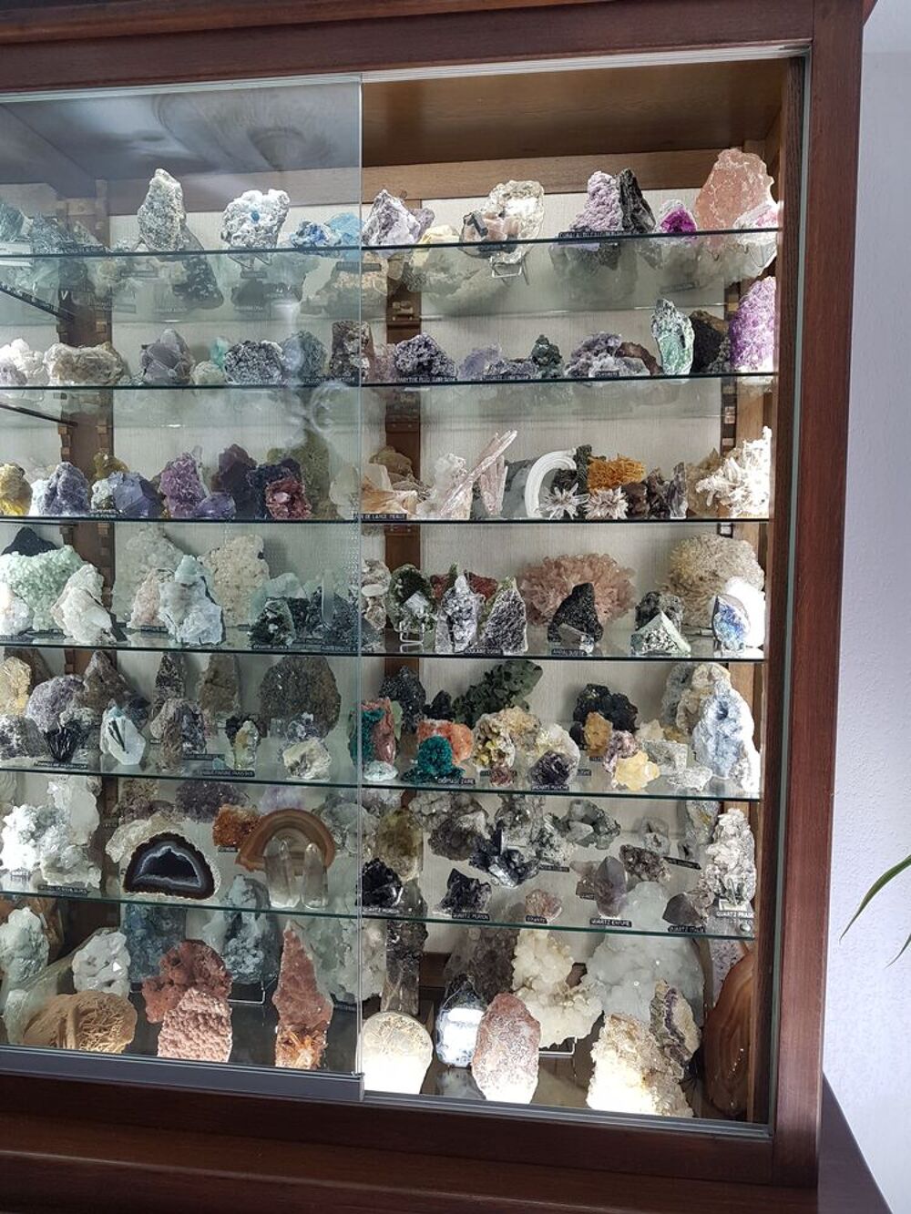 Vitrine min&eacute;raux garnie 