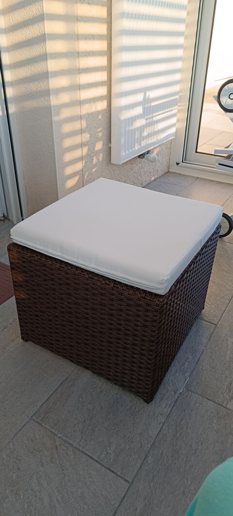 ENSEMBLE REPAS EN RESINE TRESSEE 750 Allriot (71)