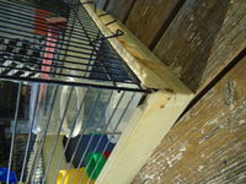   cage a oiseaux, avec tout dedans 