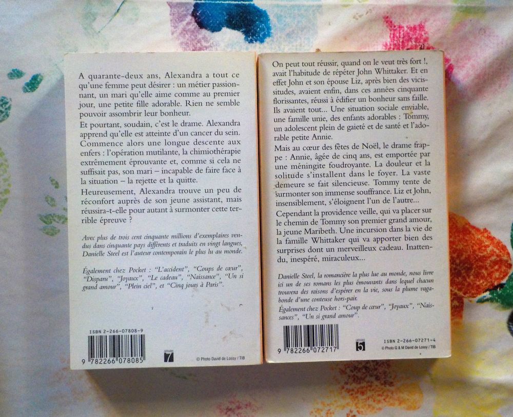 2 Danielle STEEL : LA FOUDRE et LE CADEAU Ed. Pocket Livres et BD