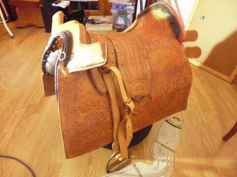 SELLE SUD AMERICAINE 250 Meuilley (21)