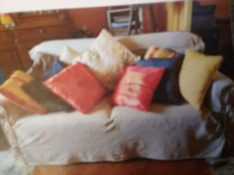 Salon 2  canaps bon etat 260 Lyon 3 (69)