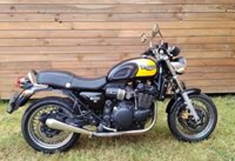 TRIUMPH 2004 occasion 79140 Cerizay