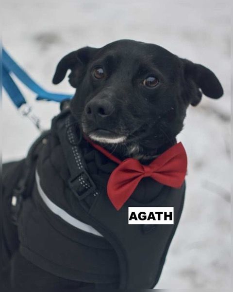 AGATH SE TROUVE DANS UN REFUGE EN UKRAINE 0 75018 Paris